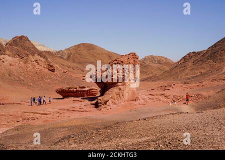 The mushroom rock at Timna valley. Natural Rock formations, Timna natural and historic park, Israel, The Timna Valley is located in the southwestern A Stock Photo