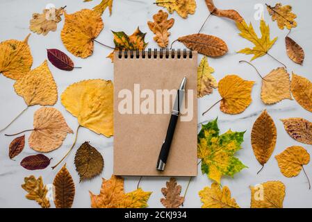 Notepad craft paper with autumn leaves and pen on marble Stock Photo