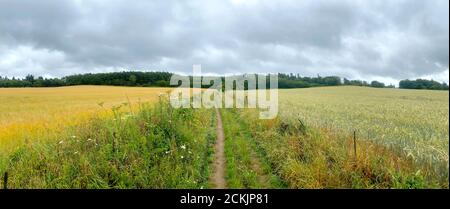 A country path leads through fields up towards the hill of Hydon's Ball / Octavia Hill near Hambledon in Surrey. Stock Photo