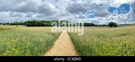 A country path leads through fields up towards the hill of Hydon's Ball / Octavia Hill near Hambledon in Surrey. Stock Photo