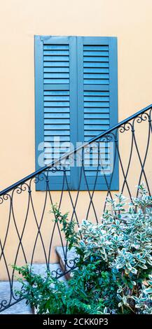 Pink exterior wall with window closed by a green wooden shutter. In front of it a staircase with wrought iron handrails and decorative evergreen plant Stock Photo