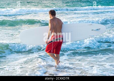 Miami Beach Florida,Atlantic Ocean shoreline seashore,surfer surfers surf water sport,enters entering waves,