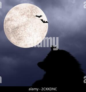 Halloween square background with silhouettes of black cat, bats, full ...