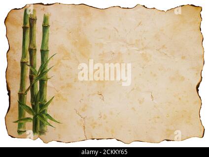 Green bamboo stems and leaves on old brown paper isolated on white horizontal background. Watercolor hand drawn botanical illustration with space for Stock Photo