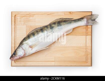 Fresh uncooked pike perch on wooden board isolated on white background with clipping path Stock Photo