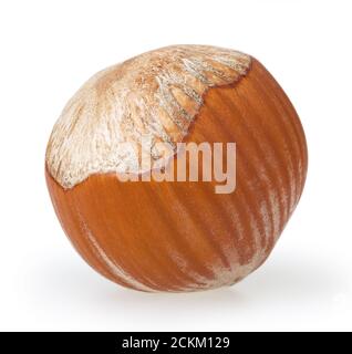 Download Single Hazelnut Isolated On White Background As Package Design Element Stock Photo Alamy PSD Mockup Templates