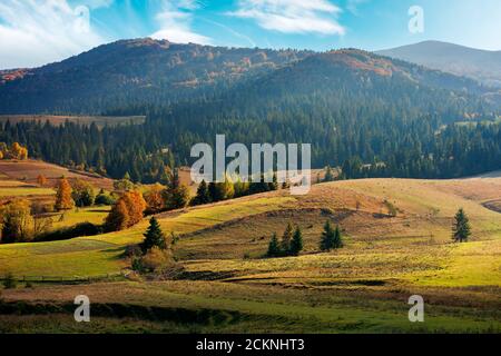 mountainous rural landscape in autumn season. trees and fields on rolling hills. beautiful countryside afternoon scenery on a sunny day Stock Photo