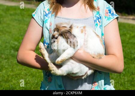 Little girl cuddling cute lop eared rabbit  on grass outside in summer Stock Photo