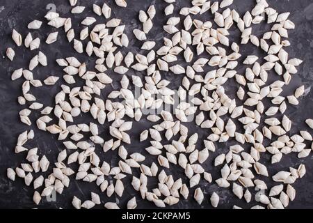 White small seashells pattern on a black concrete background, top view, flat lay. Stock Photo