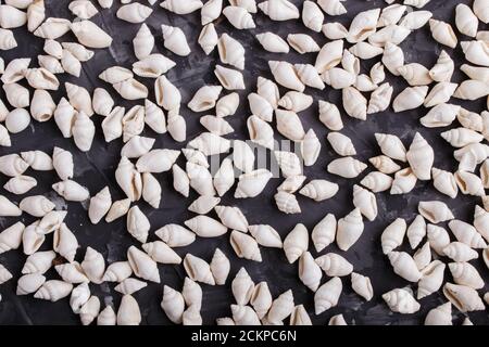 White small seashells pattern on a black concrete background, top view, flat lay. Stock Photo