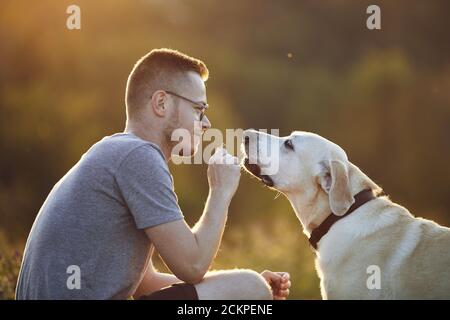 Man with dog on meadow at sunset. Pet owner holding cookie for his cute labrador retriever. Stock Photo