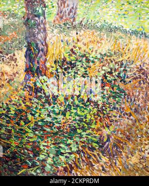 Undergrowth by Vincent van Gogh (1854-1890) oil on cardboard, 1887 Stock Photo