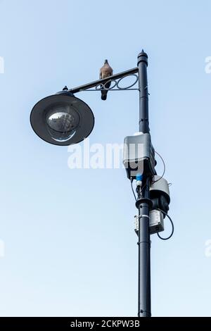 A pigeon perched on a lamp post fitted with ANPR number plate recognition surveillance cameras in a restricted residential area of North London, UK Stock Photo