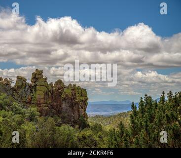 The view from the Arizona Trail, or Arizona National Scenic Trail, between Gardner Canyon and Patagonia, Coronado National Forest, Santa Rita Mountain Stock Photo