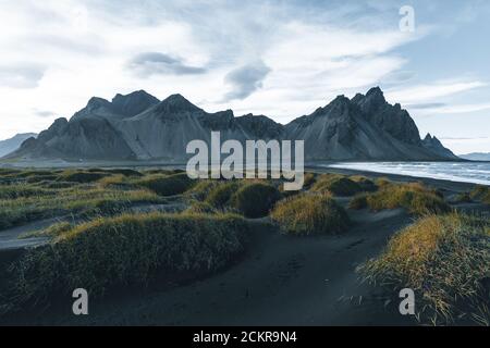 Sunny landscape of Iceland. Gorgeous view on Stokksnes cape and Vestrahorn Mountain with black sand with grass on foreground at summer. Iconic Stock Photo