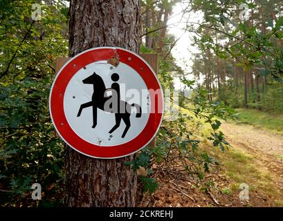 Horse-riding prohibited in this forest! The sign is screwed to a tree. Footpath in the background. Stock Photo