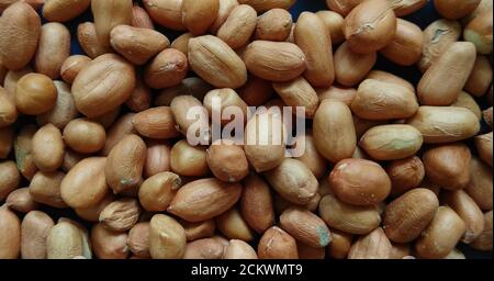 Indian organic peanuts isolated on flat background with selective focus. Stock Photo