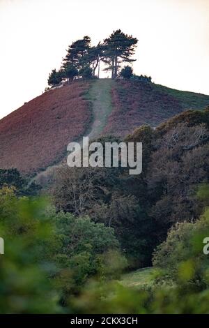 Colmer's Hill, West Dorset landscape, the iconic conical-shaped hill rises 417 feet above the village of Symondsbury near Bridport, UK Stock Photo