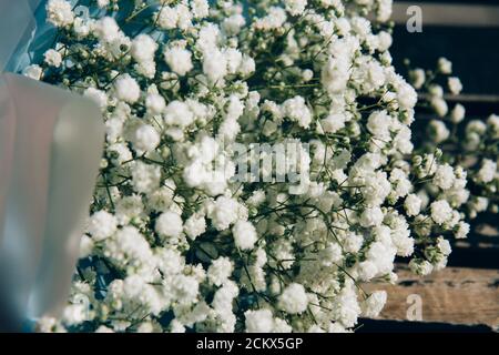 Bouquet of small white flowers on a wooden bench. Gypsophila flowers. Baby's-breath flowers Stock Photo