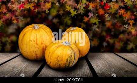 Autumn Pumpkins on a wooden table with maple leaves on a dark background. Stock Photo
