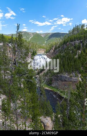 Gibbon Falls, Yellowstone National Park Stock Photo