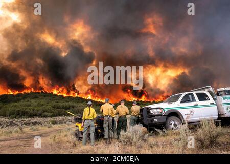 Firefighters watch the intense flames at the Pine Gulch Fire on the Western Slope August 2, 2020 near Grand Junction, Colorado. The wildfire is the largest in the history of Colorado destroying tens of thousands of ranch and wildlife habitats. Stock Photo