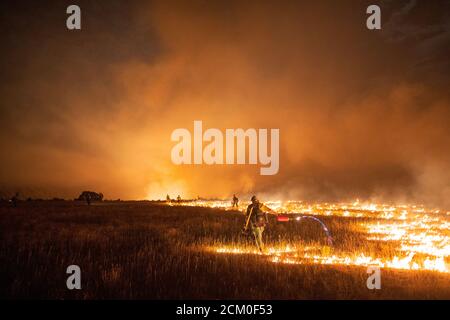 Wyoming Hotshots during night operations at the Pine Gulch Fire on the Western Slope August 3, 2020 near Grand Junction, Colorado. The wildfire is the largest in the history of Colorado destroying tens of thousands of ranch and wildlife habitats. Stock Photo