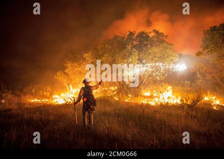 Wyoming Hotshots during night operations at the Pine Gulch Fire on the Western Slope August 3, 2020 near Grand Junction, Colorado. The wildfire is the largest in the history of Colorado destroying tens of thousands of ranch and wildlife habitats. Stock Photo