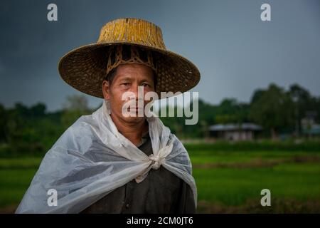 A Worker in homemade rain gear while planting rice in Nakhon Nayok, Thailand Stock Photo