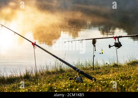 Three carp fishing rods in rod pod on a background of lake and nature.  Fishing background. Carp fishing. Misty morning. Holder rods. wilderness  area Stock Photo - Alamy