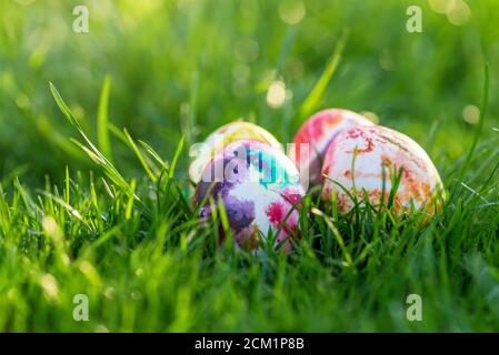 Traditionally painted easter eggs hidden in grass. Stock Photo