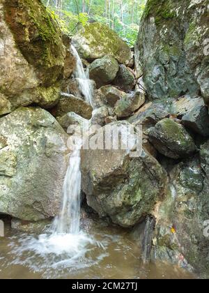 Cheile Plaiului gorges natural river area. Waterfall on small river in dense forest in Cluj county, Transylvania, Romania. Fresh water and rocks in Tr Stock Photo