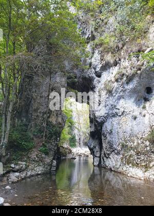 Small forest waterfall in Gorges de la Jogne river canyon in Broc