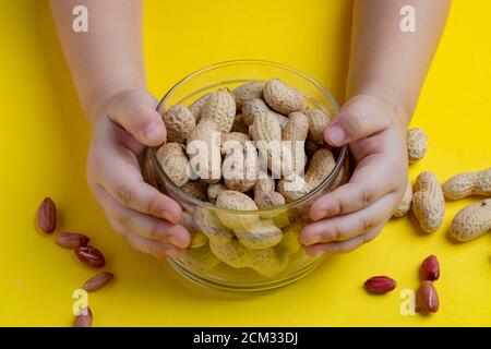 Hands holding Raw unpeeled peanuts, flat lay food Stock Photo