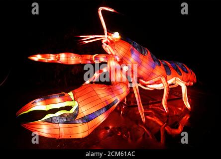 Illumination Jardin Des Plantes 2019