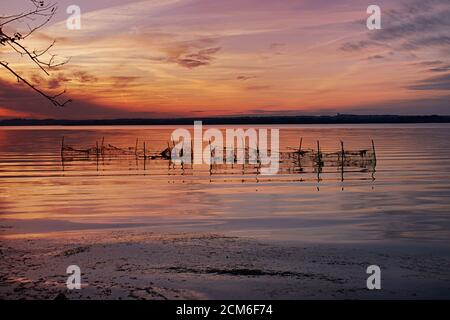 Sunset over water, Belmont Bay with netting fence in shallow water in silhouette of land and trees. Stock Photo