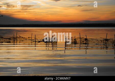 Sunset over water, Belmont Bay with netting fence in shallow water in silhouette of land and trees. Stock Photo