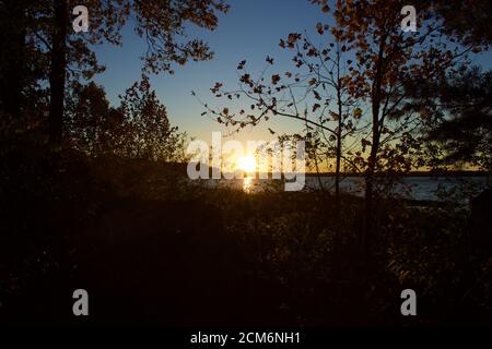 Sunset over Belmont Bay with silhouette barren tree branch and river bank. Stock Photo