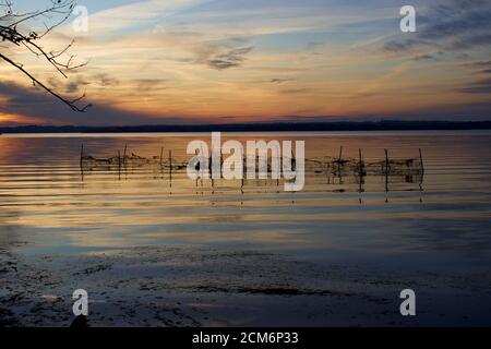 Sunset over water, Belmont Bay with netting fence in shallow water in silhouette of land and trees. Stock Photo