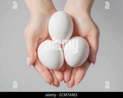 Woman hands with white eggs isolated on grey background, concept Stock Photo