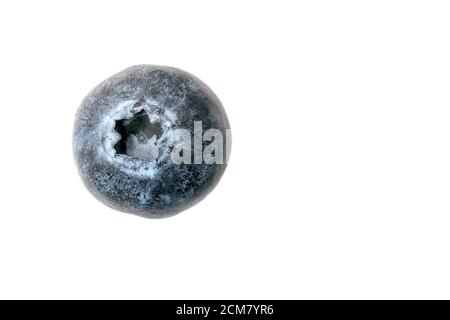 Blueberry isolated. Blueberry on white background, copyspace. Top view fresh ripe blueberries on a white background Stock Photo