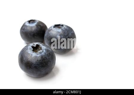 three blueberries. fresh ripe Blueberries isolated on white background Stock Photo