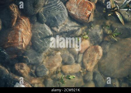 Background of river stones of different sizes in muddy water Stock Photo