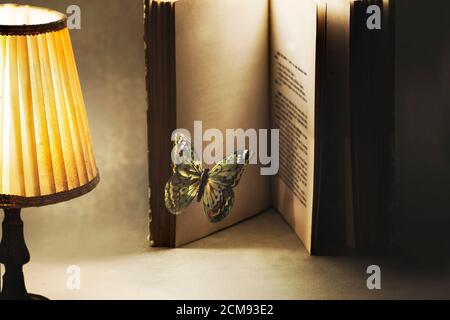 surreal and imaginative moment of a butterfly entering the pages of a book for a new story Stock Photo