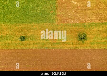 Aerial view top shot at a field with two trees, kind of minimalism, orange, natural background photo. Stock Photo