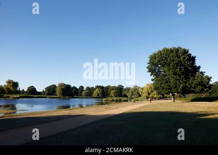 Heron Pond in Bushy Park, Teddington, London, UK Stock Photo