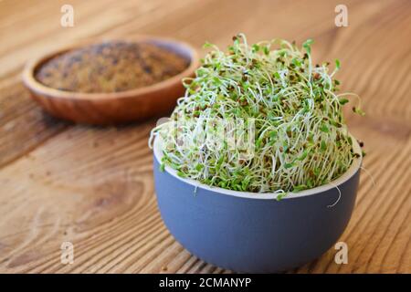 Sprouted alfalfa seeds in a bowl on wooden background Focus on sprouts in the front.