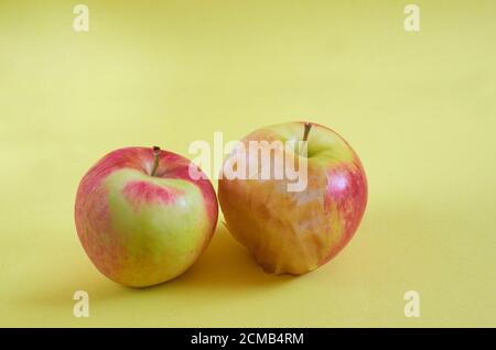 A whole Apple and a bitten Apple lie on a colored background. Close up Stock Photo