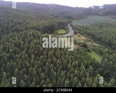 Aerial shot of asphalt road surrounded with trees and cultivated fields ...