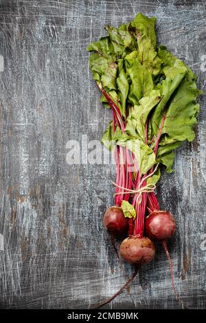 Bundle of fresh organic farmer young beetroots on dark scratched background, top view. Natural organic vegetables. Stock Photo